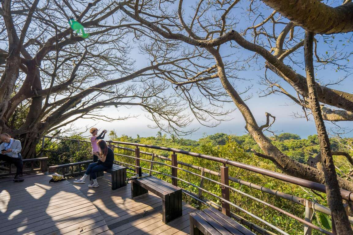 柴山登山步道 照片 3