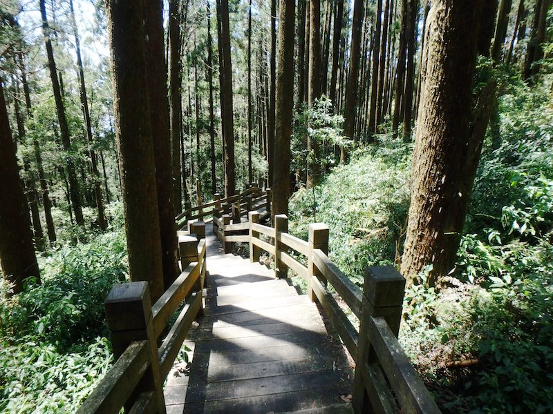 奮起湖大凍山步道 照片 4