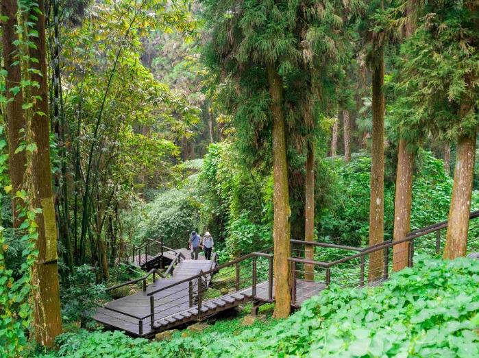 奮起湖大凍山步道 照片 6