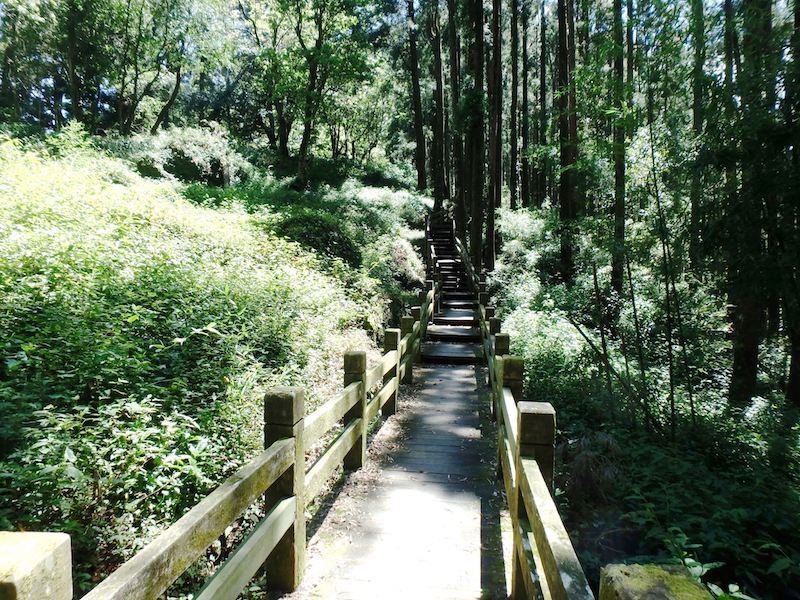 奮起湖大凍山步道 照片 2