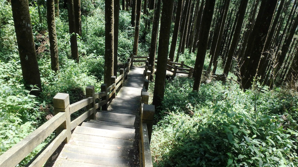 奮起湖大凍山步道 照片 8