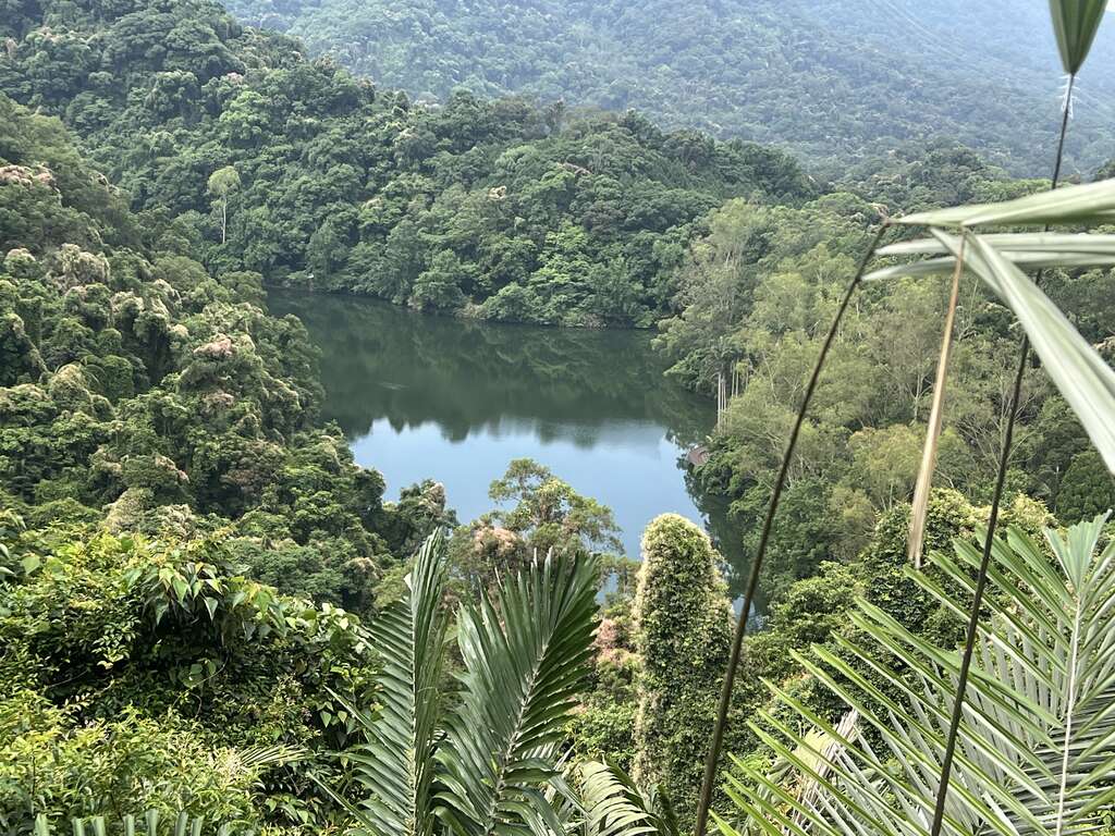 打鐵寮古道 照片 2