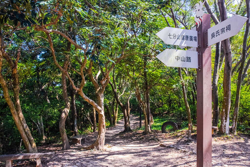 羊稠森林步道 照片 2
