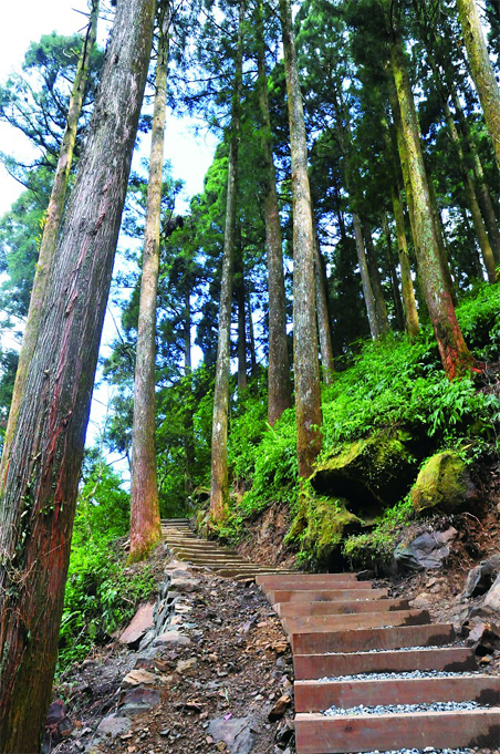 奮起湖大凍山步道