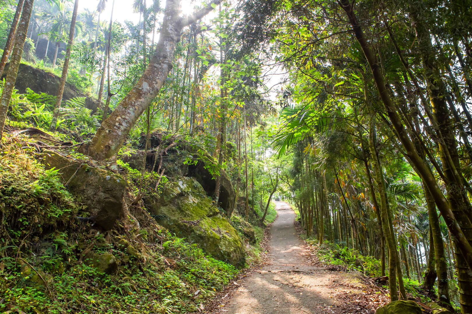 關子嶺大凍山步道